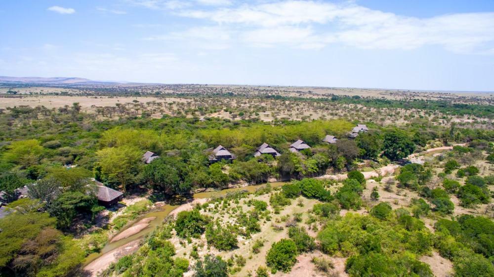 Mara Simba Lodge ماساي مارا المظهر الخارجي الصورة